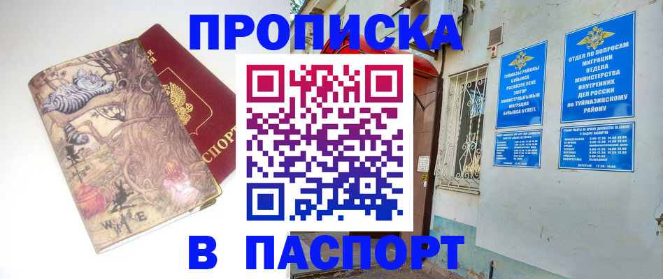 пропишу в квартире в Будённовске